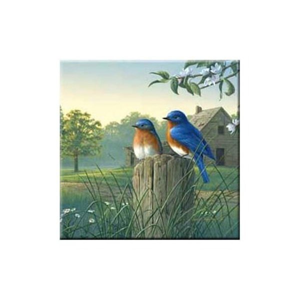 Fastfood McGowan Tuftop Country Morning Bluebirds Trivet FA2611480